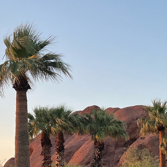 Meet your Posher, Toni - Picture 1 of 1